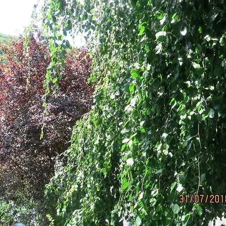 Appartamento Wildgarten Sinzig