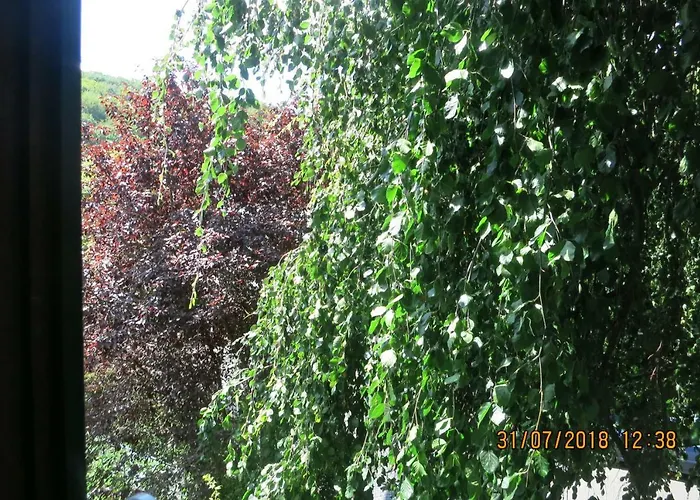 Apartment Wildgarten Sinzig